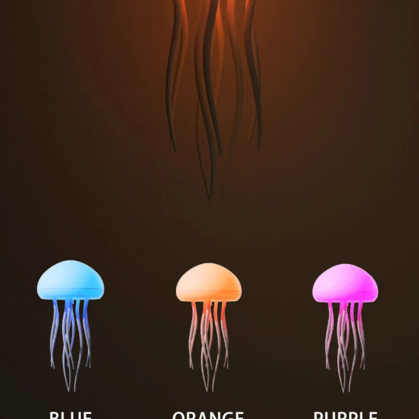 Product Gallery Image