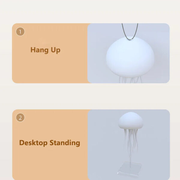 Product Gallery Image