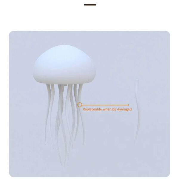 Product Gallery Image