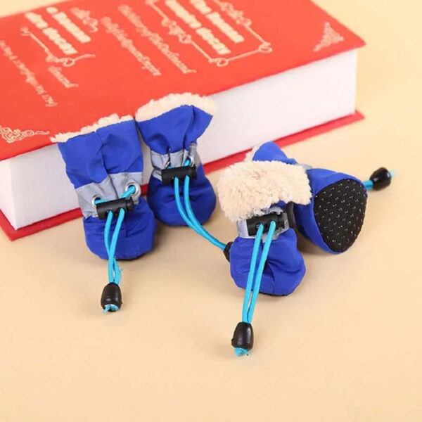 Product Gallery Image