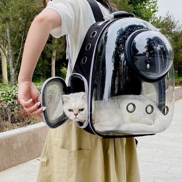 Product Gallery Image